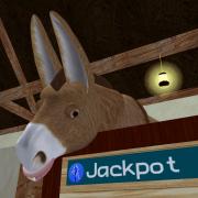 donkey jackpot